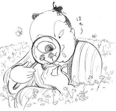そばの花