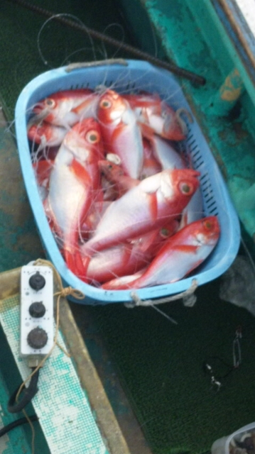 120316_140836.jpg
