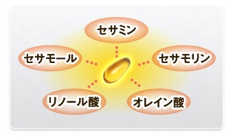 セサミンgold ゴールド の評判 セサミンgold ゴールド 解体新書