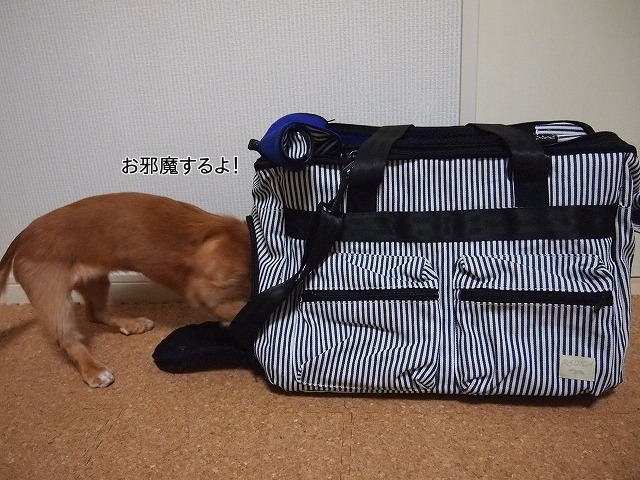 新しいイメージ3.JPG