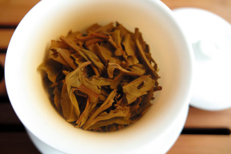 巴達古樹青餅2010年プーアル茶