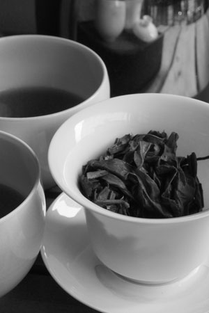 易昌號大漆樹圓茶04年プーアル茶
