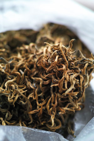 思芽金芽古樹紅茶2012年