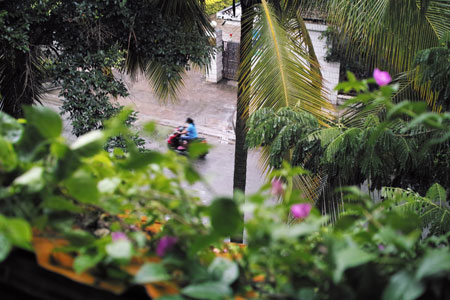 雨