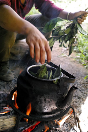 弯弓秋天焙茶2013年