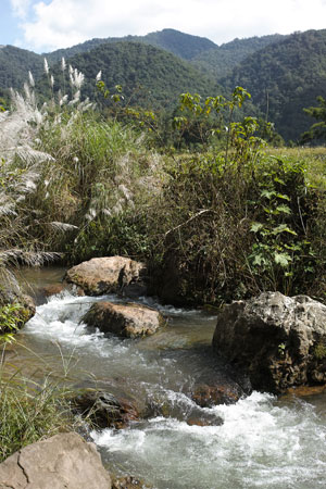 漫撒山秋の散茶2013年プーアル茶