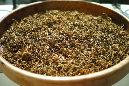 思芽金芽古樹紅茶2012年