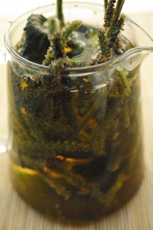 薬草
