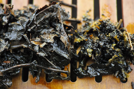 昆明老方磚92年と雅安蔵茶金尖芽細08年