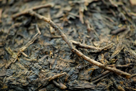 昆明老方磚92年プーアル茶