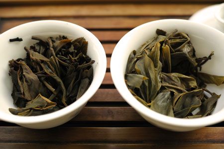 大益大白菜班章青餅02年プーアル茶
