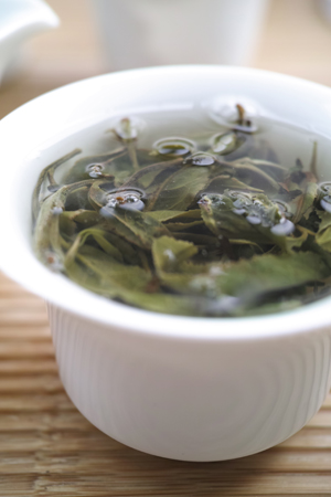 新しい生茶のプーアル茶