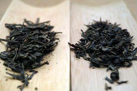 易昌號大漆樹圓茶04年と陳臻號圓茶04年