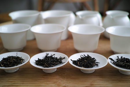 西双版納の紅茶飲み比べ