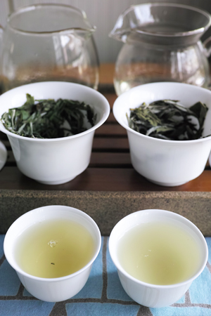 野生白牡丹　白茶　2011年　中国茶 野生白牡丹白茶2011年中国茶