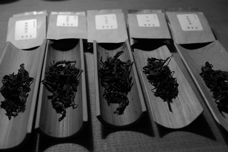 岩茶の試飲