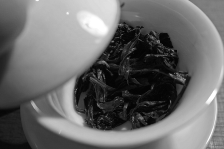 岩茶の試飲