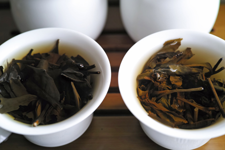 寿眉2003年白茶と易昌號大漆樹圓茶04年プーアル茶
