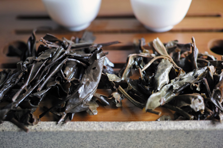寿眉2003年白茶と易昌號大漆樹圓茶04年プーアル茶