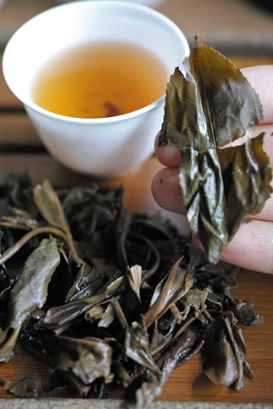 易昌號大漆樹圓茶04年プーアル茶