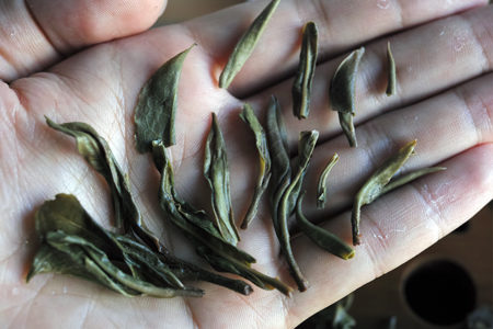 那カ古樹青餅2014年プーアル茶