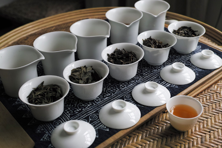 プーアール茶の試飲