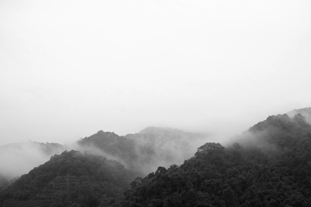 秋の易武山