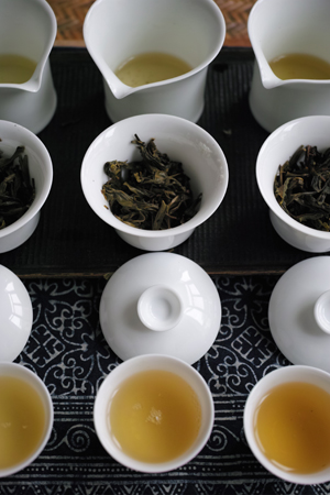 春のプーアル茶2種と、秋のプーアル茶1種