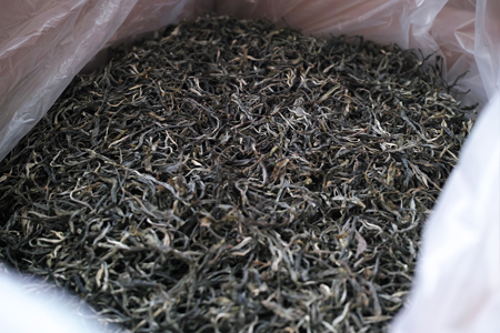 章朗古樹秋天散茶2014年プーアル茶