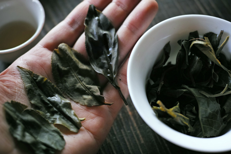 易武山落水洞の散茶2013春
