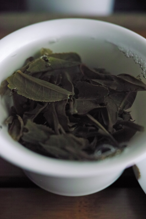 南糯蜜蘭青餅2013年プーアル茶