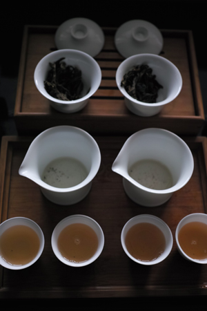 プーアル茶飲み比べ