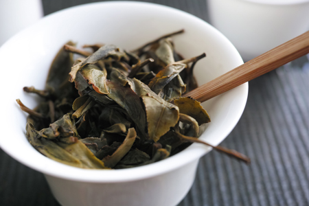 章朗古樹春天散茶2012年プーアル茶