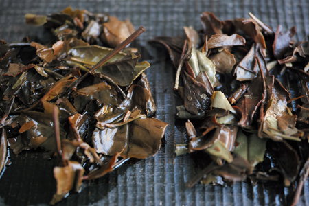 寿眉老茶2003年と政和寿眉老茶90年代