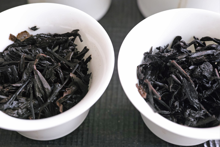広西六堡茶90年代
