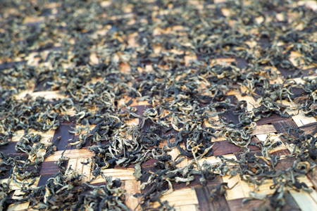 漫撒陰涼紅茶2015年