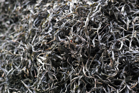 丁家老寨春の散茶2015年
