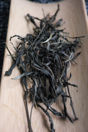 丁家老寨春の散茶2015年
