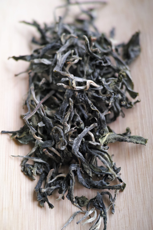 倚邦単樹春の散茶2015年