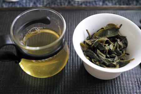 倚邦単樹春の散茶2015年