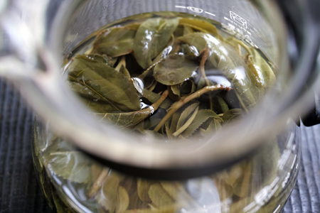 倚邦単樹春の散茶2015年