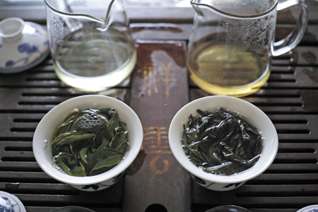 単樹のお茶