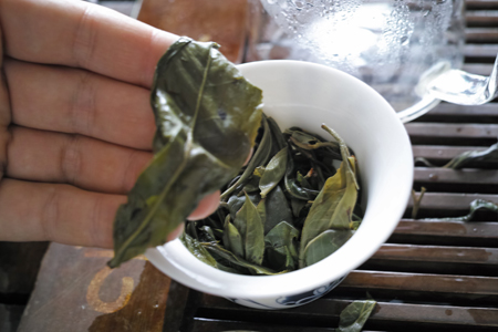 単樹のお茶