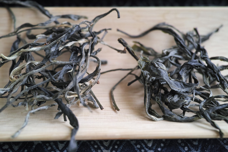 弯弓単樹B春の散茶2015年