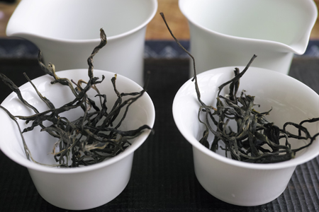 弯弓単樹B春の散茶2015年