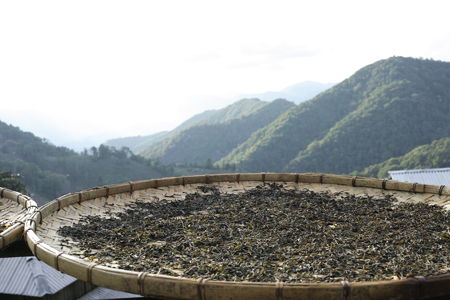 漫撒山風道の散茶2015年