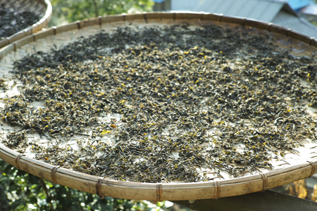 漫撒山風道の散茶2015年