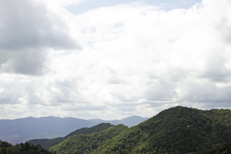 漫撒山風道の散茶2015年