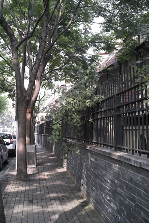 易武古樹青餅2010年