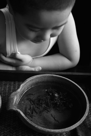 倚邦単樹春の散茶2015年